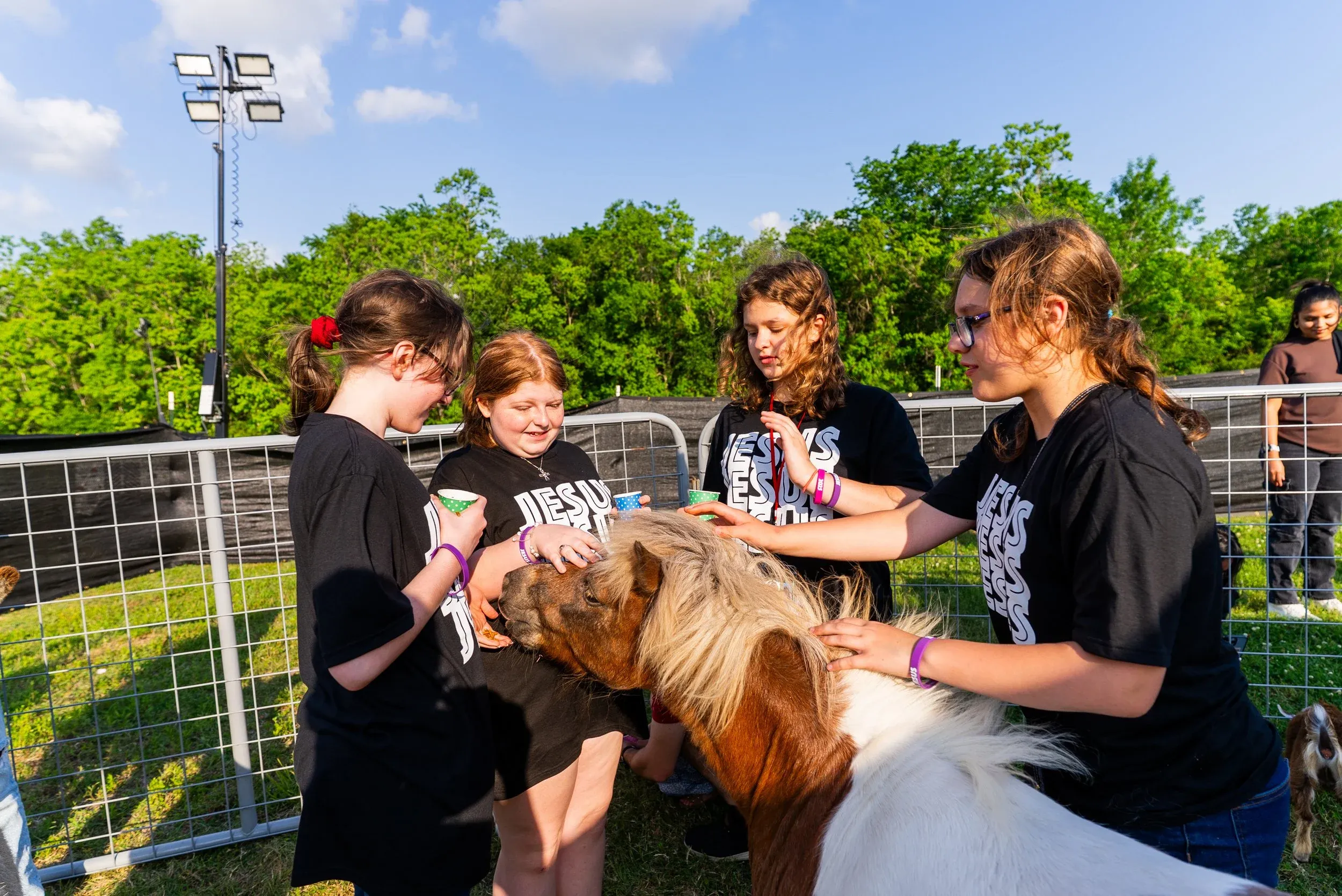 Kids petting a pony at the family area